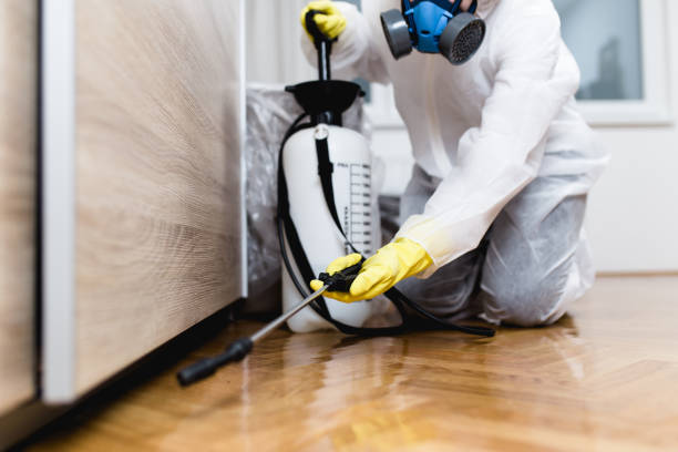 Best Cockroach Control Services  in Maysville, MO