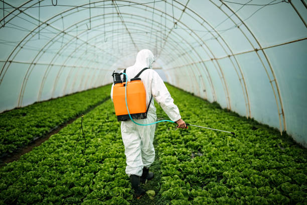 Best Pest Prevention Services  in Maysville, MO