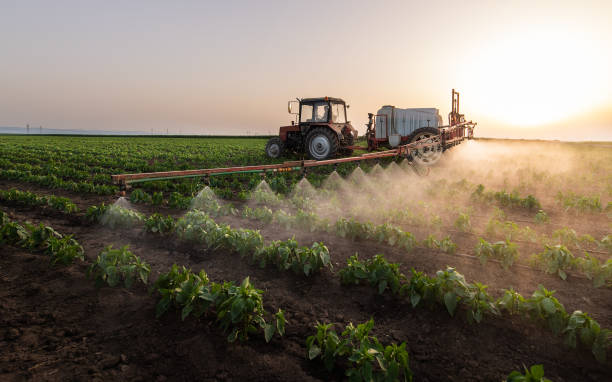 Best Best Pest Control Companies  in Maysville, MO