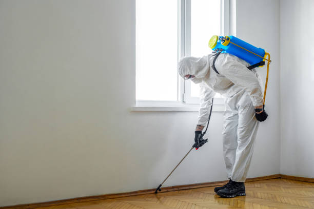 Best Pest Control Treatment  in Maysville, MO