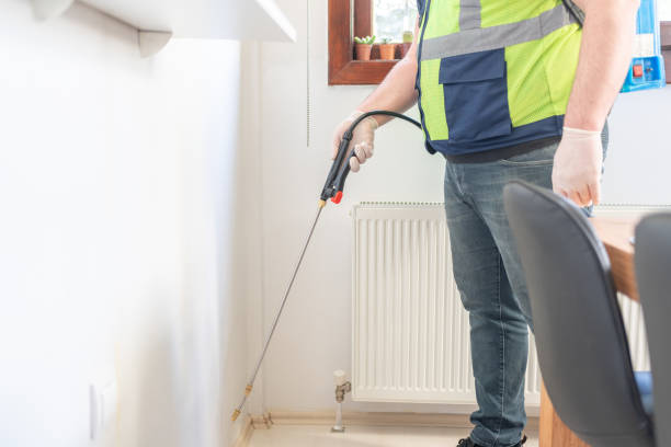 Best Termite Control Services  in Maysville, MO