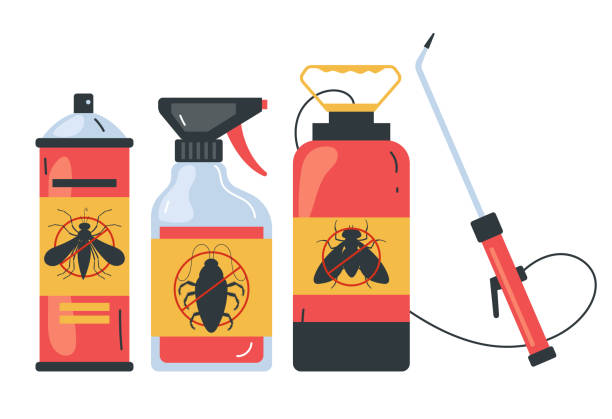 Insect Control in Maysville, MO
