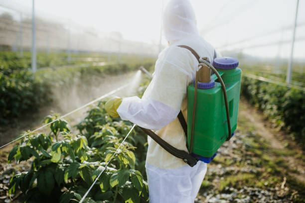 Best Cockroach Control Services  in Maysville, MO